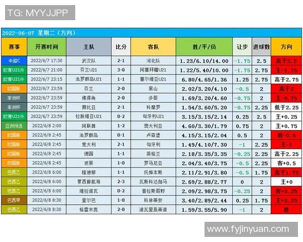 广州足球队控制体系解析及其在现代足球战术中的应用探讨