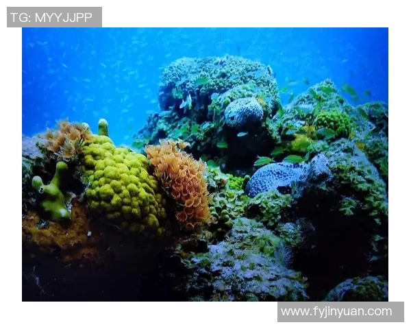 布莱克尼的奇幻之旅探索未知世界的神秘与美丽